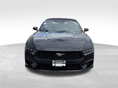2025 Ford Mustang EcoBoost Premium