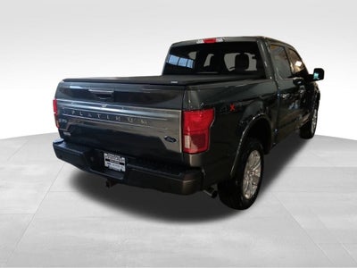 2020 Ford F-150 Platinum